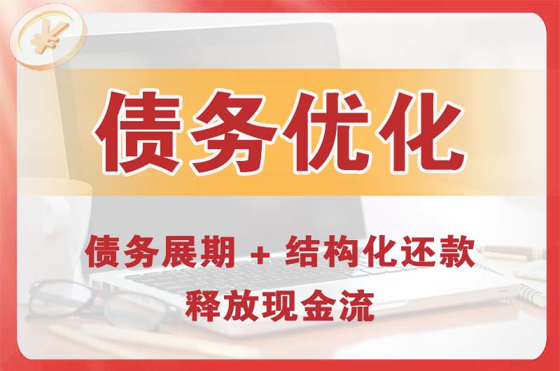 迪庆债务优化
